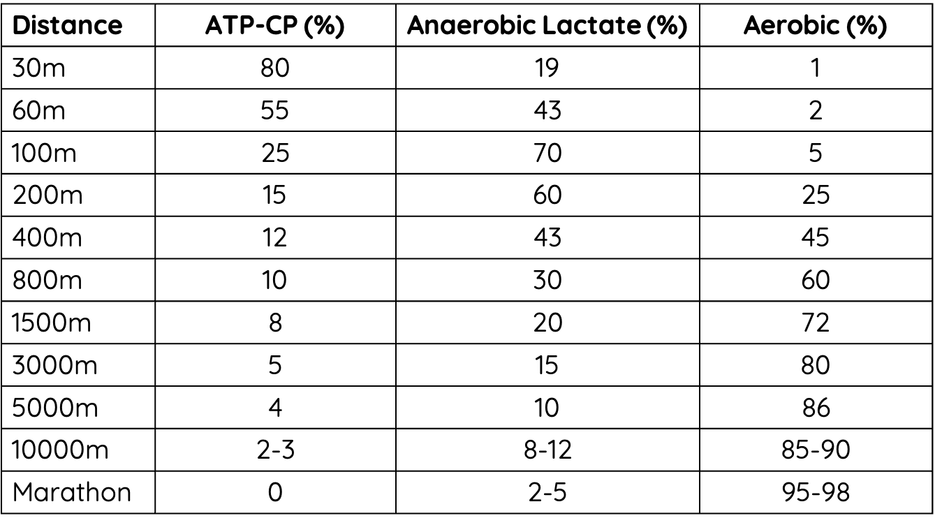 Length of a 1500-Meter Run and Training Schedules